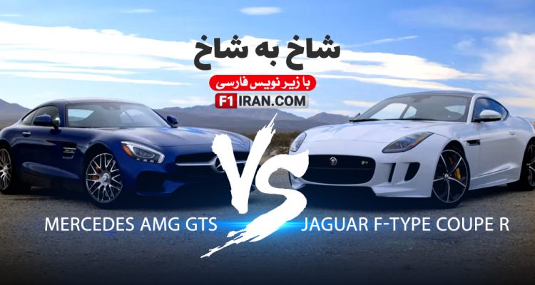 شاخ به شاخ